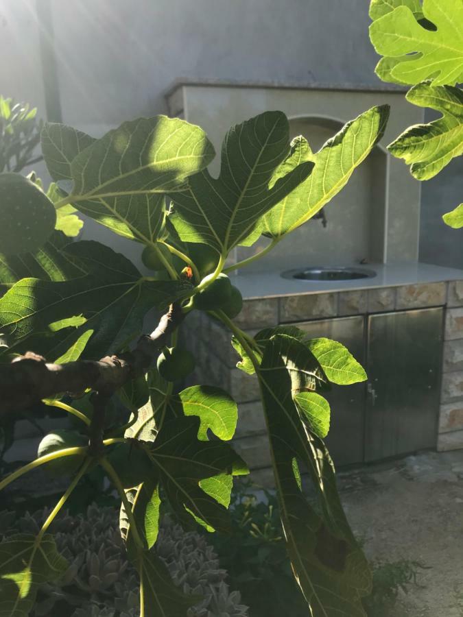 Villa Chiara فوديس المظهر الخارجي الصورة
